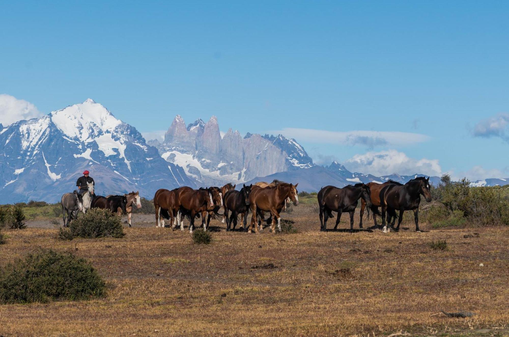 埃斯坦西亚山圭多酒店 Torres del Paine National Park 外观 照片