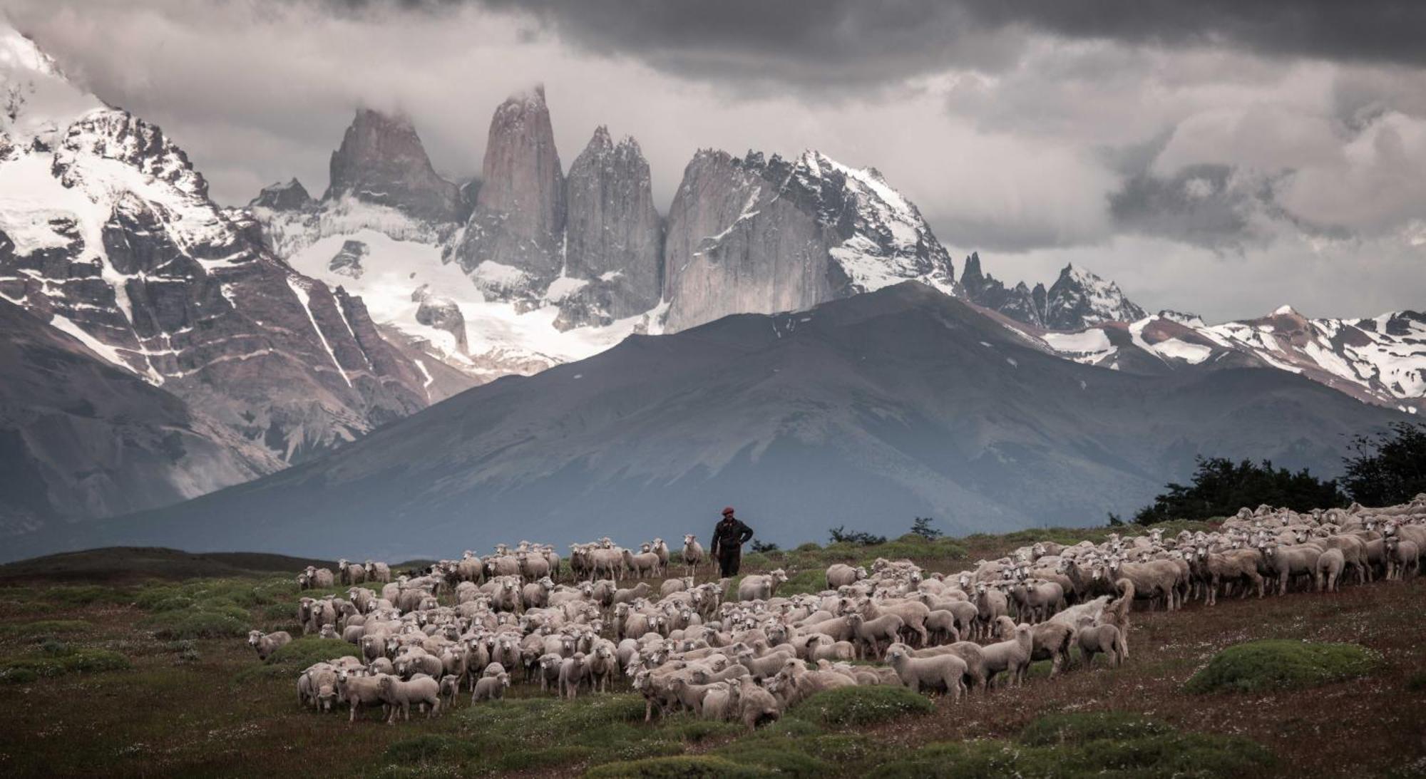 埃斯坦西亚山圭多酒店 Torres del Paine National Park 外观 照片